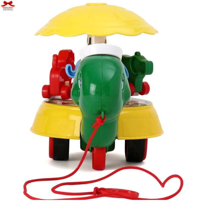 Freddy Turtle Musical Pull Along Toy Rotating Animals Motumal-motumal