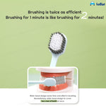 FunBlast Multicolour Soft Bristle Toothbrushes All Ages Motumal-motumal