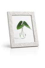 Monstera Leaf Decorative Picture Frame White Contemporary Motumal-motumal