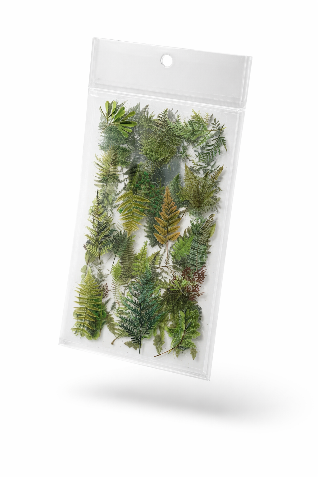 Packaged greenery in a clear plastic bag on a white background