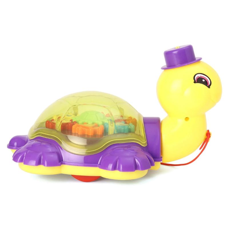 Toy turtle with a purple shell and hat on a white background